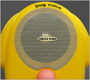 ���ԡ�����